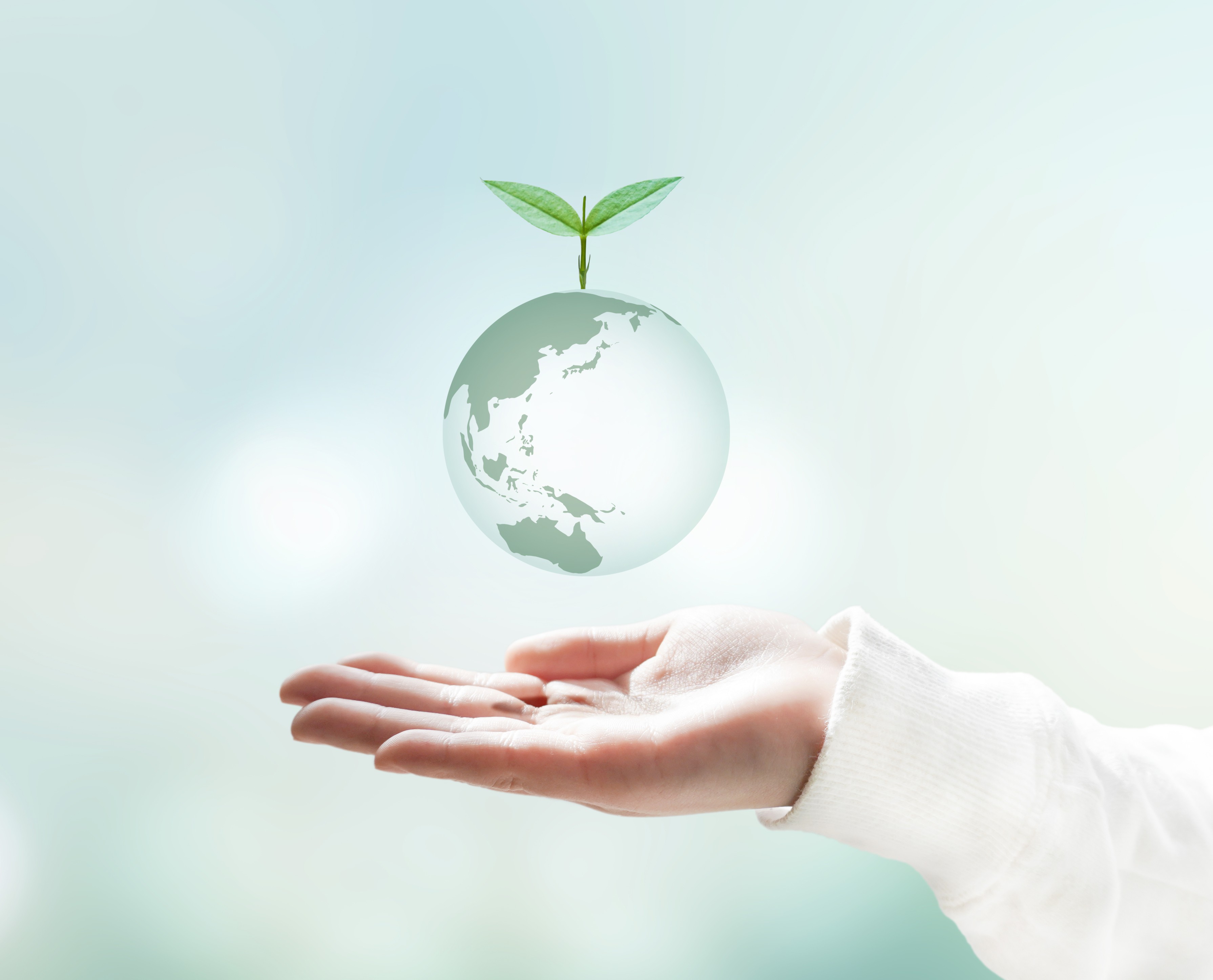 手のひらの上に浮かぶ地球と芽
